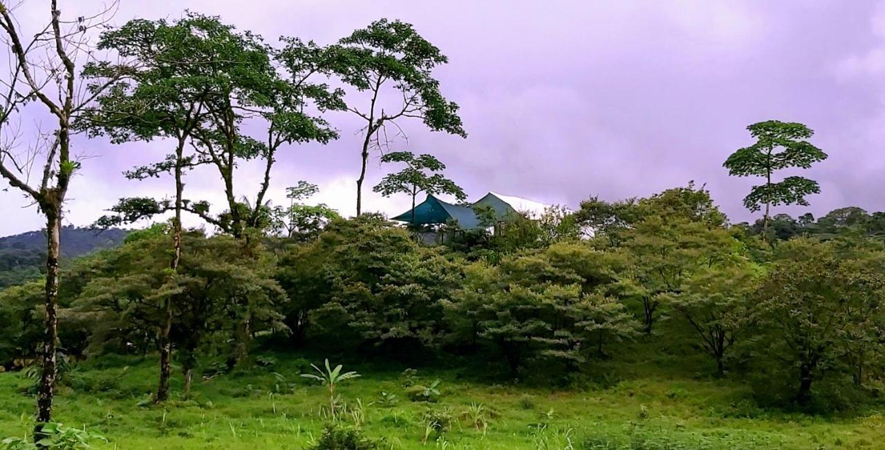 Garza Del Sol Glamping Rio Celeste Buganvilia Buitenkant foto